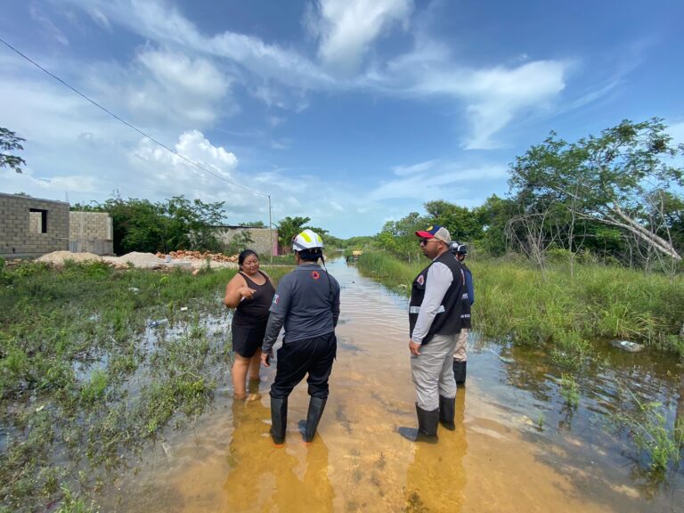 whatsapp-image-2025-06-29-at-20.48.41