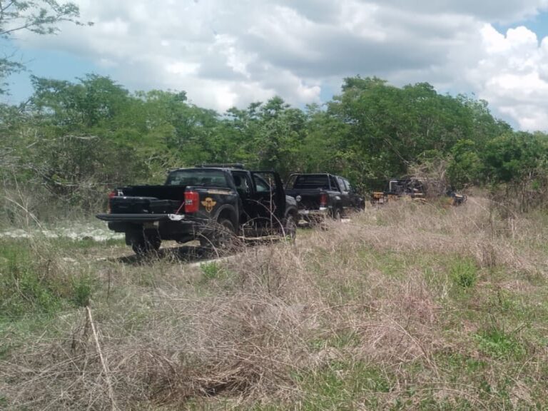 525492371_1165648758929657_2200928066832179287_n