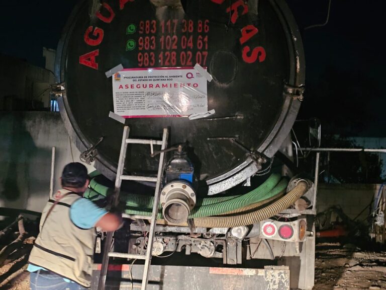 91bb1dee-1c89-474e-a14d-ad9662fa7f7a