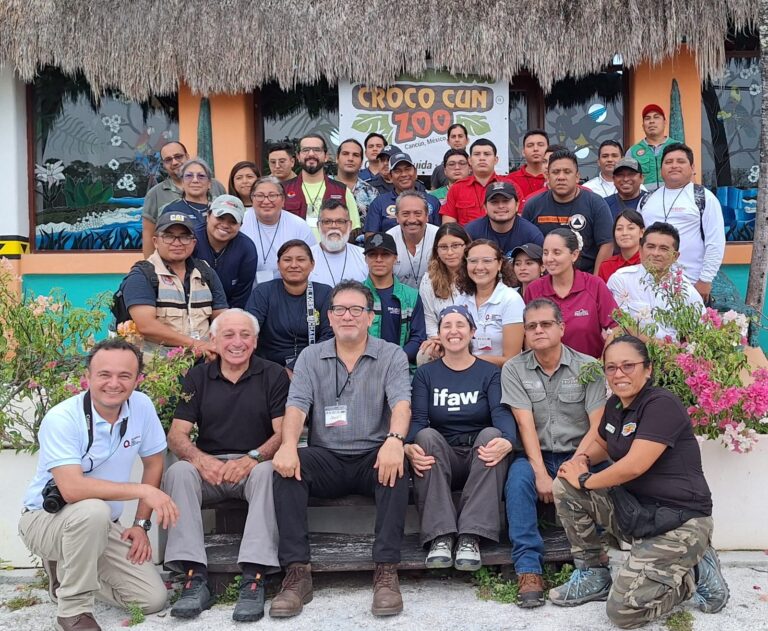 whatsapp-image-2025-07-03-at-13.36.03-1