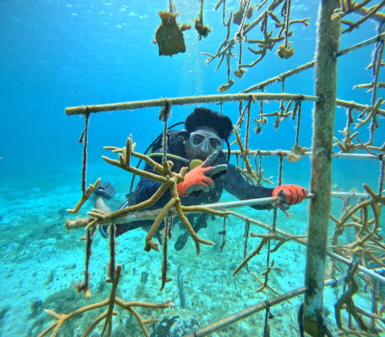 whatsapp-image-2025-07-04-at-10.47.17-1