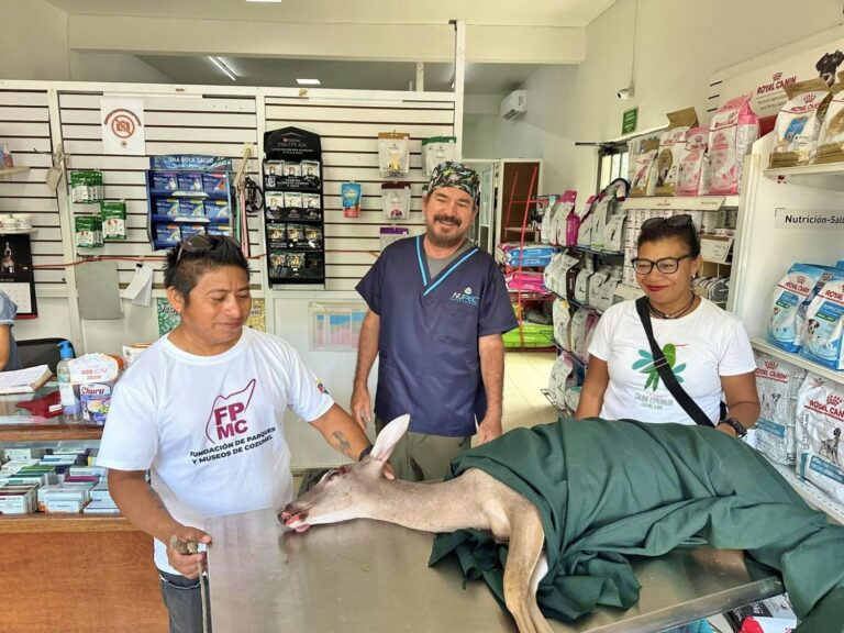 whatsapp-image-2025-07-10-at-15.14.04