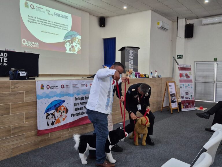 whatsapp-image-2025-07-17-at-11.43.02