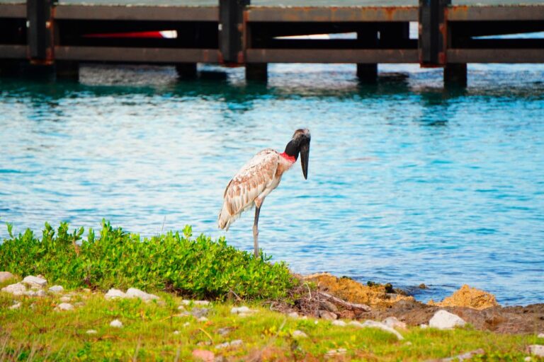 whatsapp-image-2025-07-17-at-12.06.30-1