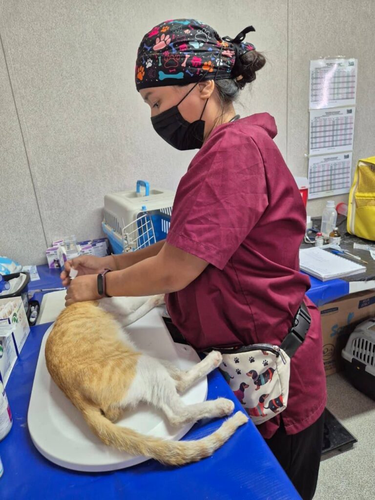 7c8de8f6-2784-421b-ba9c-07ec95b5cbb1