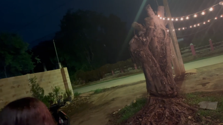 captura-de-pantalla-2025-08-22-115933