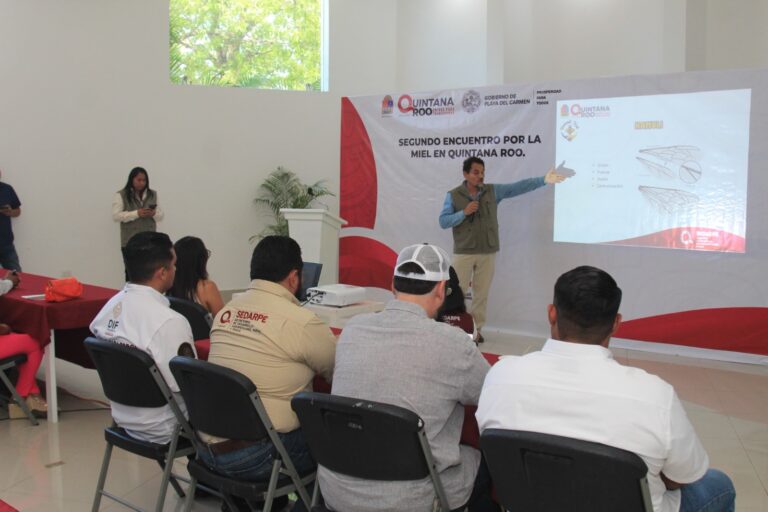 whatsapp-image-2025-07-31-at-15.03.21