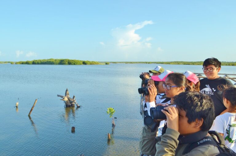 whatsapp-image-2025-08-04-at-14.27.15