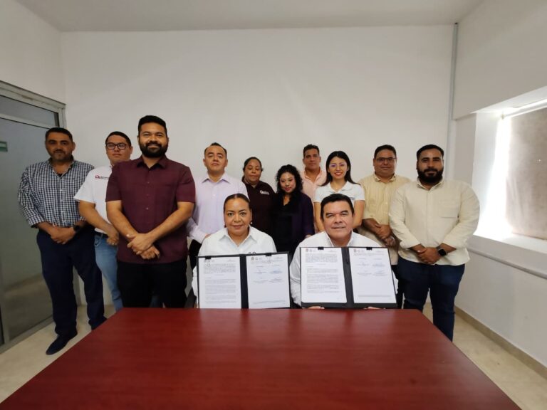 whatsapp-image-2025-08-11-at-14.07.36