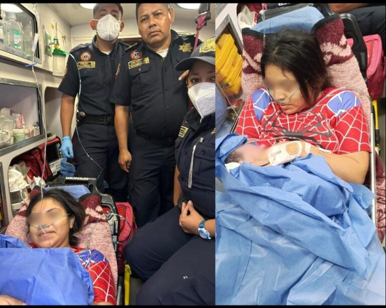 540618825_1195417919286074_2778785703882395831_n