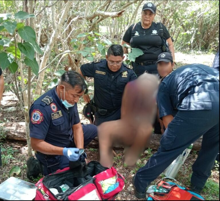 544368083_1197866275707905_8196183586511283290_n