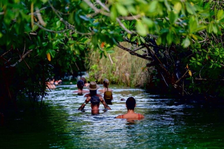 5877f6df-f14f-430e-98a0-bba8549f60d1