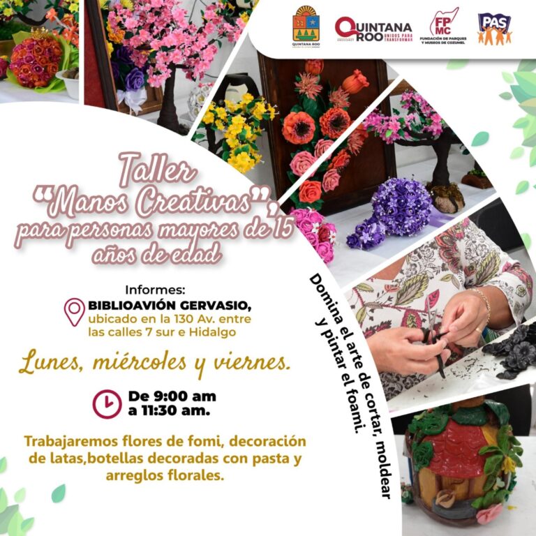 whatsapp-image-2025-09-03-at-13.47.28