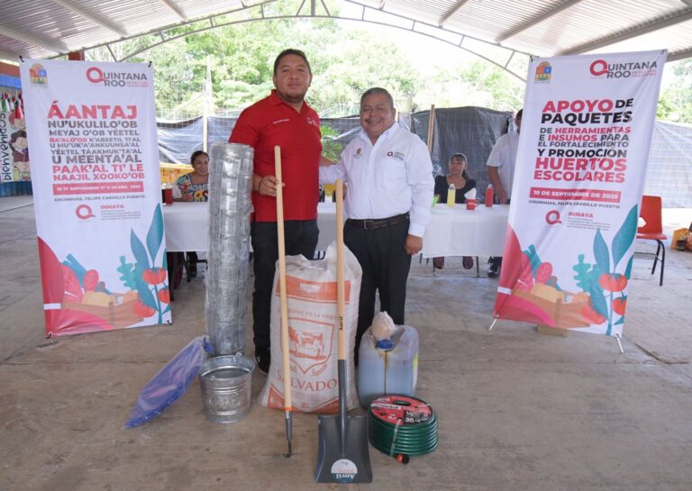 whatsapp-image-2025-09-11-at-14.29.07