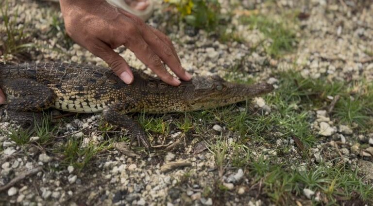 whatsapp-image-2025-09-24-at-13.07.39-1