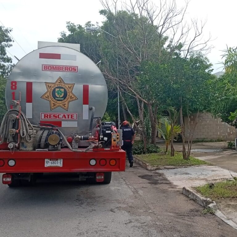 558540617_1223399716487894_8371740572972679177_n