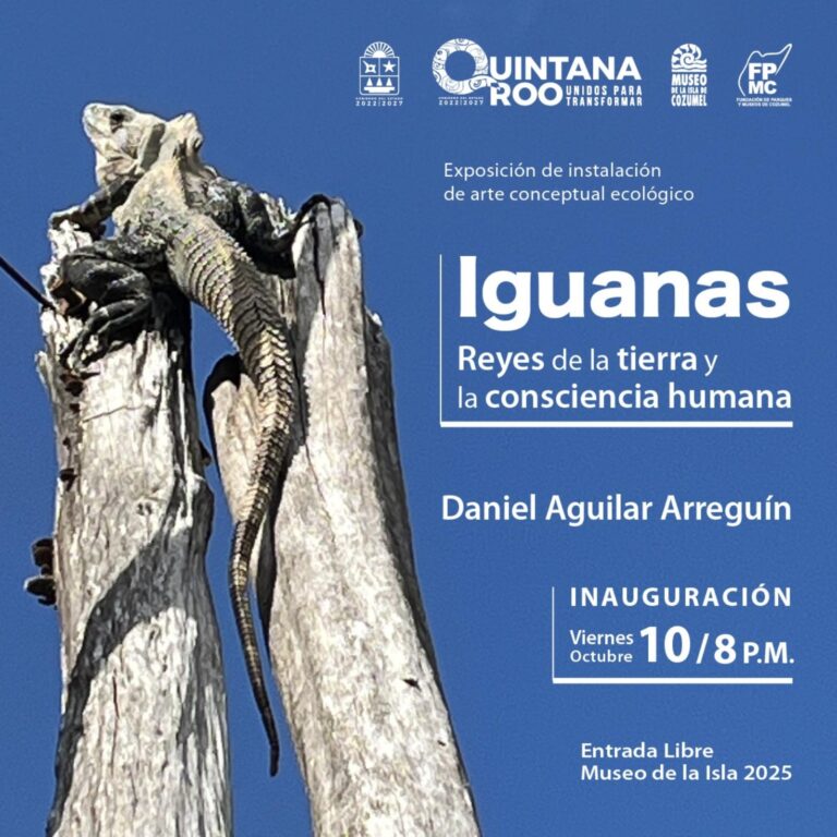 whatsapp-image-2025-10-03-at-12.59.17