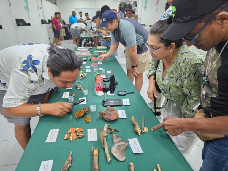 whatsapp-image-2025-10-13-at-13.24.27