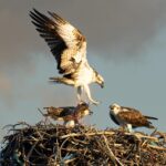 WhatsApp Image 2026-02-25 at 3.52.26 PM