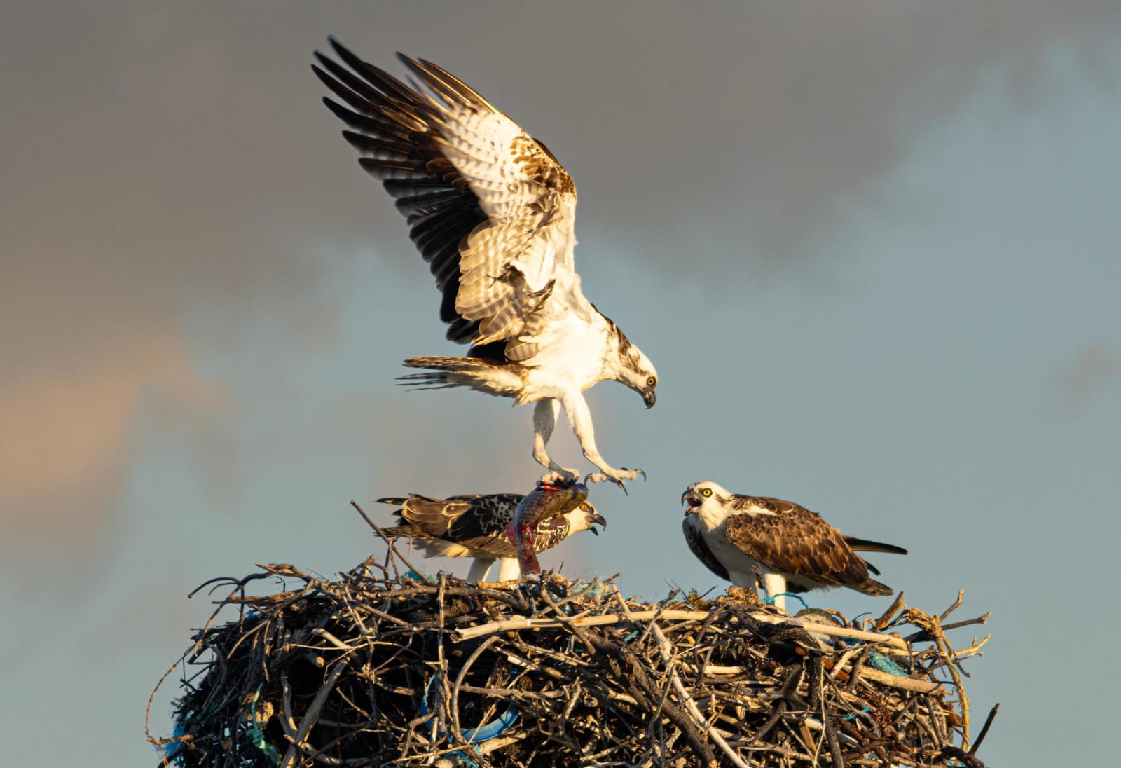 WhatsApp Image 2026-02-25 at 3.52.26 PM